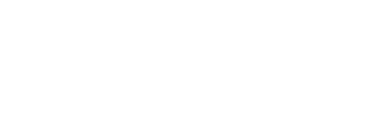 Anarkist logo